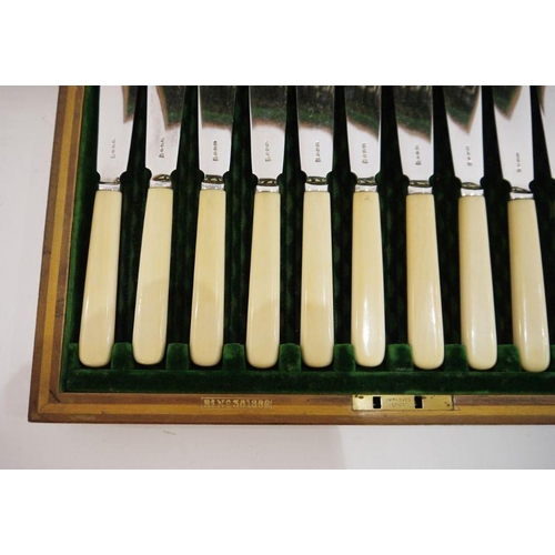 304 - Silver-plated bone-handled canteen of fish knives and forks