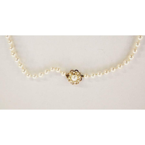 546 - Single row of graduated cultured pearls with pearl set gold clasp marked K14, approx. 69cm long