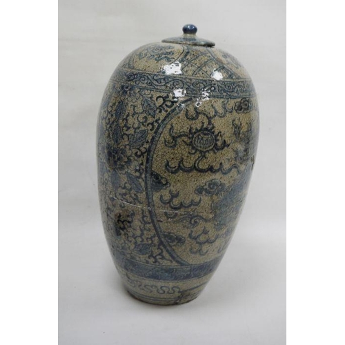 111 - Large Chinese porcelain blue and white oviform vase and cover, late 19th/20th century, painted with ... 