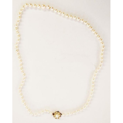 241 - Single row of graduated cultured pearls with pearl set gold clasp marked K14, approx. 69cm long