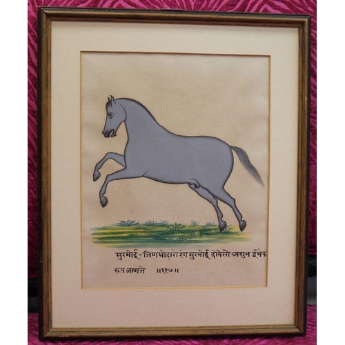 298a - Mewar School, possibly late 19th century
 Set of four watercolours
 Horse studies, with deavanagri s... 