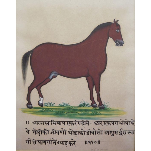 298a - Mewar School, possibly late 19th century
 Set of four watercolours
 Horse studies, with deavanagri s... 