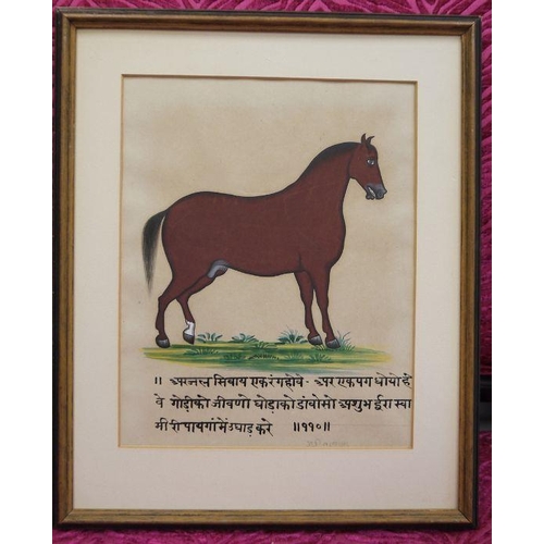 298a - Mewar School, possibly late 19th century
 Set of four watercolours
 Horse studies, with deavanagri s... 