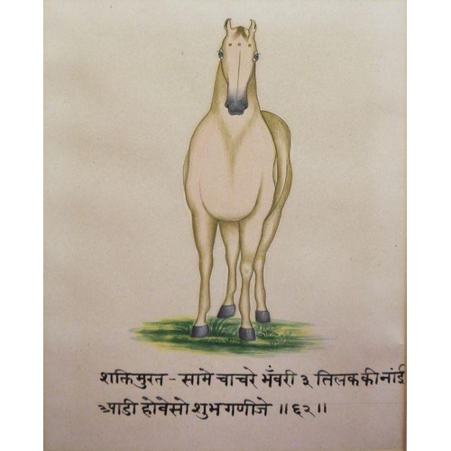 298a - Mewar School, possibly late 19th century
 Set of four watercolours
 Horse studies, with deavanagri s... 