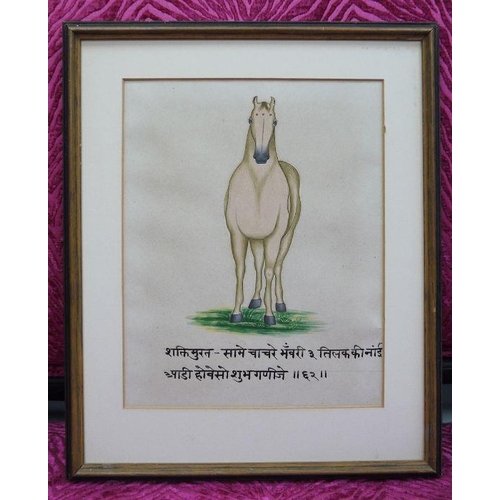 298a - Mewar School, possibly late 19th century
 Set of four watercolours
 Horse studies, with deavanagri s... 