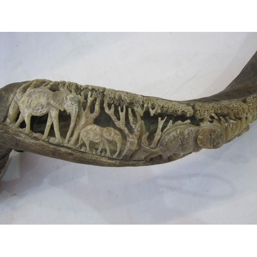 263 - Carved African Kudu antelope horn. Signed B.N.C Chenjerai 87cm approx. long