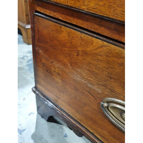 1216 - 19th century mahogany chest of two short over three long drawers, on bracket feet, 107.5cm x 102cm