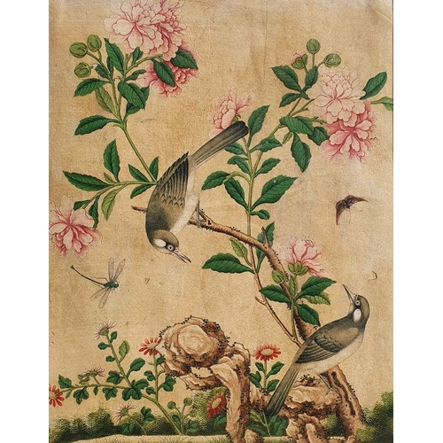 247A - Late 19th century Chinese school, 
 Watercolour on vellum, 
 Birds on blossoming branch 34 x 35 cm