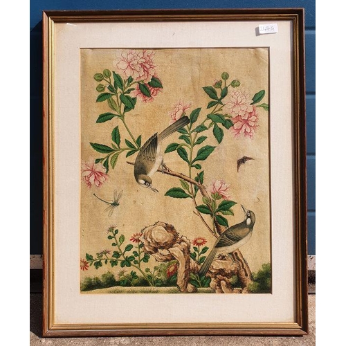 247A - Late 19th century Chinese school, 
 Watercolour on vellum, 
 Birds on blossoming branch 34 x 35 cm