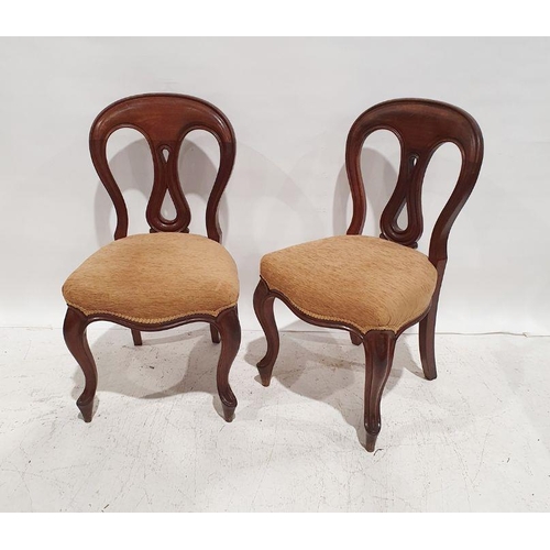 1139 - Set of six 19th century mahogany dining chairs with serpentine-fronted upholstered seats, on cabriol... 