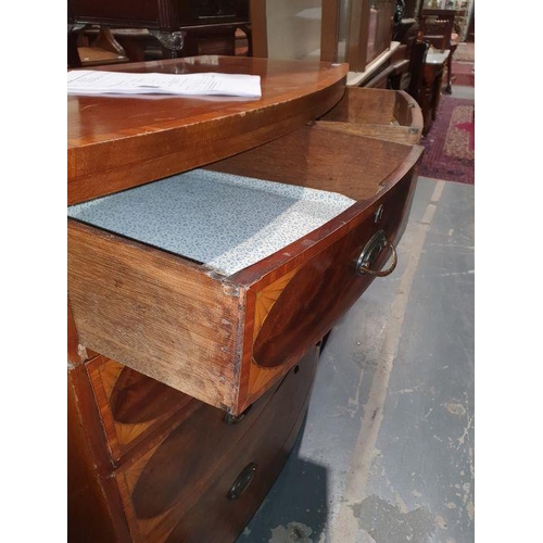 1201 - 19th century bowfront chest of two short over three long drawers, mahogany and satinwood banded, 101... 