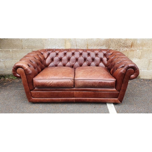 1330 - Modern two-seater brown leather Chesterfield sofa