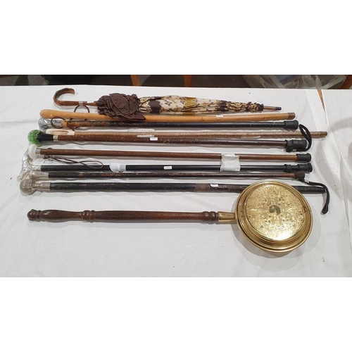 149A - Quantity of mainly modern walking sticks and umbrellas and a warming pan, to include examples with w... 