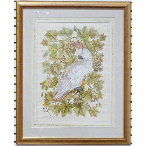 303 - After Mary Gregory
 Limited edition colour print 
 Cockatoo, 2/100, signed lower right (50 x 67 cm)