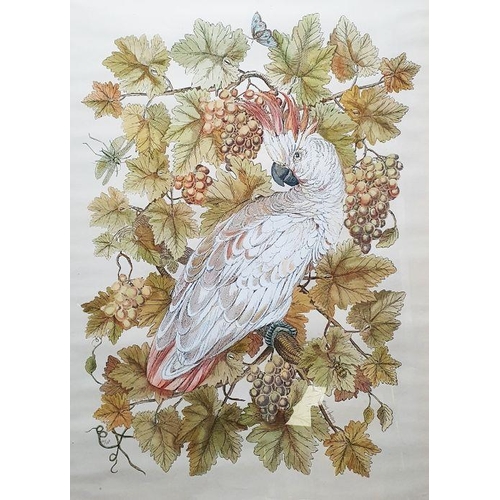 303 - After Mary Gregory
 Limited edition colour print 
 Cockatoo, 2/100, signed lower right (50 x 67 cm)