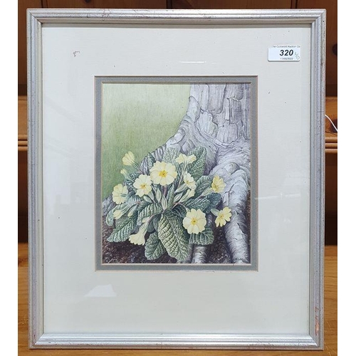 320 - Pauline Dean
 Watercolour
 Study of primroses, signed lower right (17 x 20 cm)
 Italian school Water... 