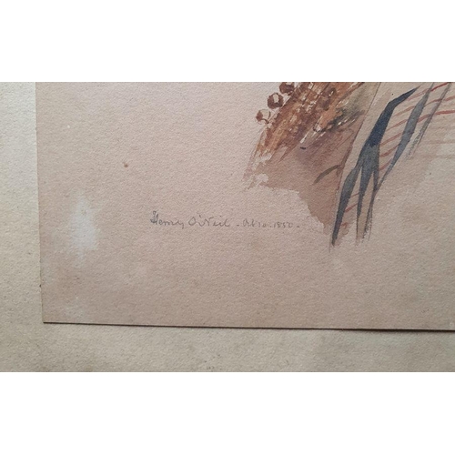 339 - Henry O'Neil (19th century school)
 Watercolour
 Study of figure in headscarf, signed 'Henry O'Neil'... 