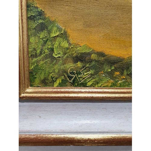 359a - George S Wissinger (20th century)
 Oil on board
 'Field' monogrammed lower left, 34 cm x 44 cm