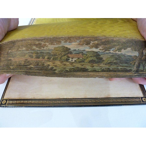 144 - Fore edge paintings / fine binding
 Cowper, William
 