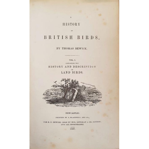 162 - Bewick,Thomas, 'A History of British Birds' volumes 1 and 2, Newcastle: Printed by J. Blackwell and ... 