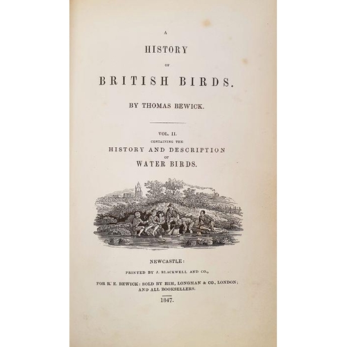 162 - Bewick,Thomas, 'A History of British Birds' volumes 1 and 2, Newcastle: Printed by J. Blackwell and ... 