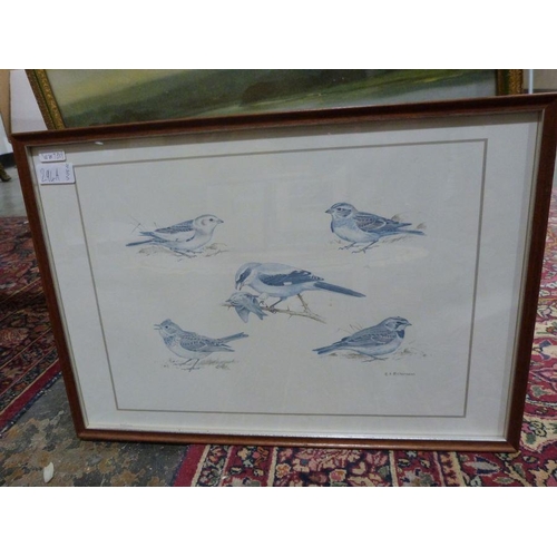 221 - After Peter Scott, 
 Three signed colour prints, birds in landscapes, 53cm x 35cm each and two other... 