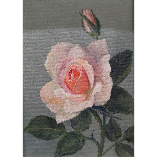 230 - M England
 Oil on canvas
 Still life of clematis and roses, framed (60cm x 34.5cm) and eight other o... 