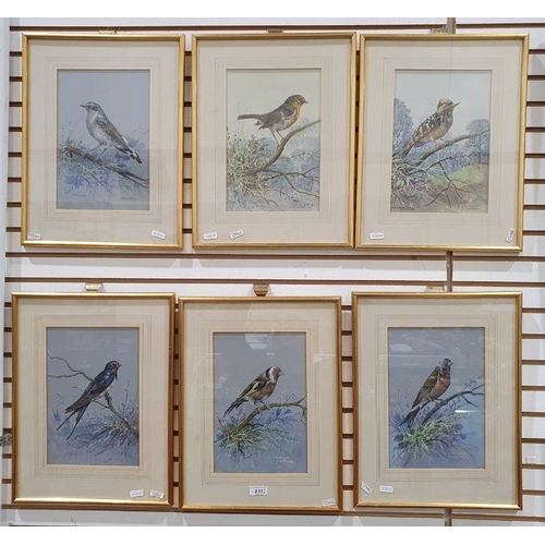 233 - Jesse Hayden
 Watercolours 

Portraits of birds - wheatear, lesser spotted woodpecker, linnet, goldf... 