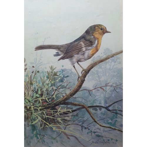 233 - Jesse Hayden
 Watercolours 

Portraits of birds - wheatear, lesser spotted woodpecker, linnet, goldf... 