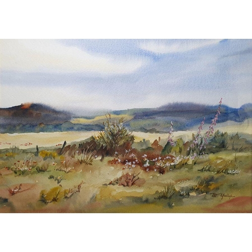 245 - Pat Yallup
 Watercolour drawing
 Moorland scene with foxgloves and wild flowers, mountains in backgr... 