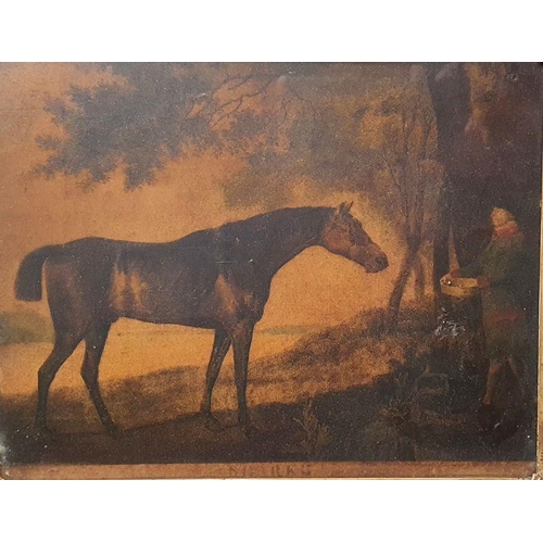 256 - After George Stubbs (1724-1806)
 Coloured mezzotint engraving
 “Sharke” engraved by George Townly St... 