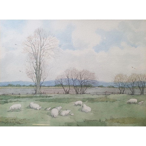 286 - Kenneth Pengelly (20th century)
 Watercolour drawing
 Lambing Time, Romney Marsh, signed and dated l... 