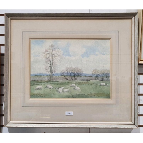 286 - Kenneth Pengelly (20th century)
 Watercolour drawing
 Lambing Time, Romney Marsh, signed and dated l... 