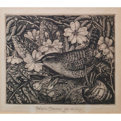 289 - Robin Tanner (1904-1988)
 Wren and Primroses, signed in pencil 'Robin Tanner Fac.et imp.' in the mar... 