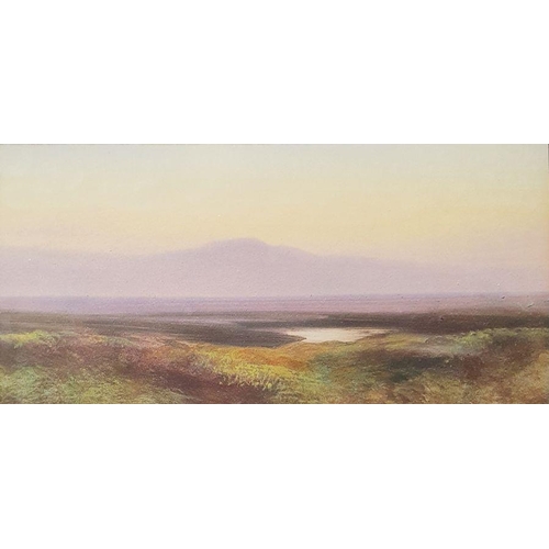 243 - In the manner of F J Widgery 
 Watercolour 
 Study of Dartmoor scene, 9.5cm x 19.5cm