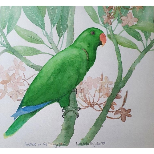 251 - Jarvis (20th century) 
 Watercolour 
 Parrots, signed lower right 
 Elizabeth St John 
 Watercolour
... 