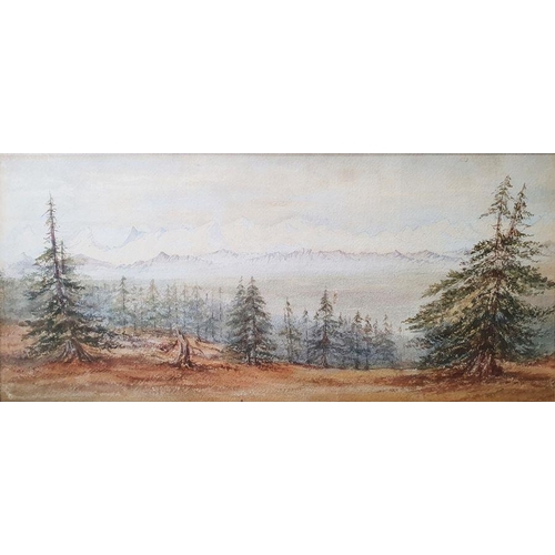 261 - E. Bruce
 Watercolour
 Highland scene with spruce trees to the foreground, mountain range in the bac... 