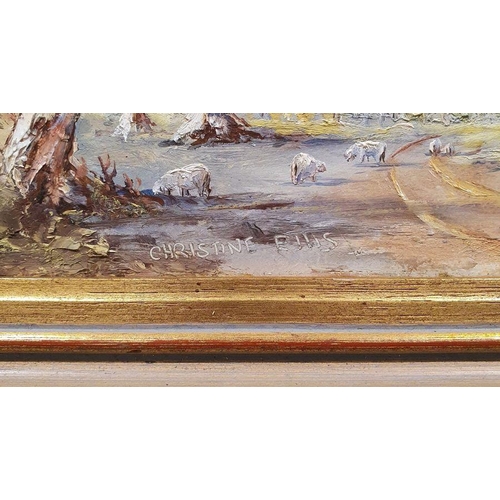 265 - Christine Ellis 
 Oil on board 
 Wooded lane, signed lower, labelled verso, 24cm x 28.5cm