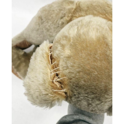 95 - Vintage post-war Chad Valley teddy bear