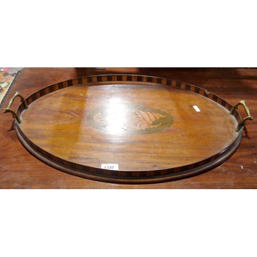 1320 - Edwardian mahogany oval tea tray with shell inlay