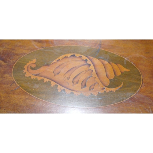 1320 - Edwardian mahogany oval tea tray with shell inlay