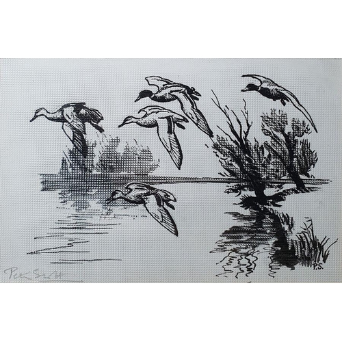 345 - Peter Scott (1909-1989)
 Pen, ink and wash
 Study of three geese heightened with white, signed lower... 