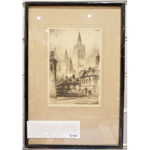 396a - Etchings after F. Robson to include: Truro Cathedral, York Minister from Petergate, Castle Garth and... 