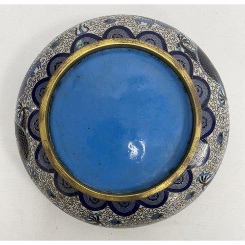 112 - Chinese cloisonne circular dish, cream ground decorated in shades of blue, 13.5cm in diameter