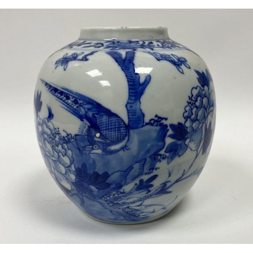 113 - A Chinese blue and white ginger jar on stand, decorated with a traditional scene with peacock standi... 