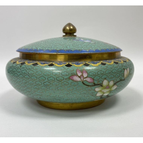 115 - Cloisonne lidded bowl, turquoise ground decorated with blossom, 15.5cm in diameter, 9cm high approx.... 