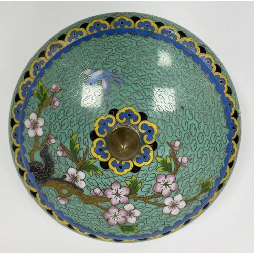 115 - Cloisonne lidded bowl, turquoise ground decorated with blossom, 15.5cm in diameter, 9cm high approx.... 