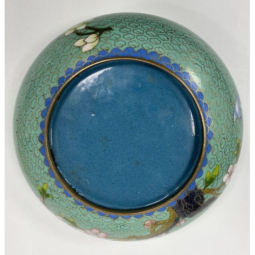 115 - Cloisonne lidded bowl, turquoise ground decorated with blossom, 15.5cm in diameter, 9cm high approx.... 