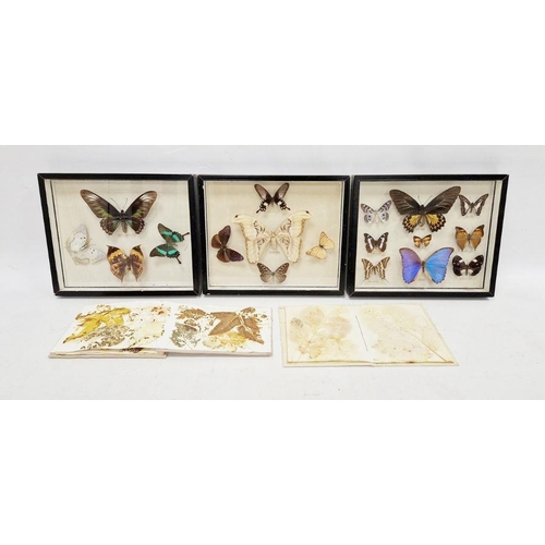 173 - Three cased and mounted moth and butterfly collections, 25cm x 30cm approx. and two albums of presse... 