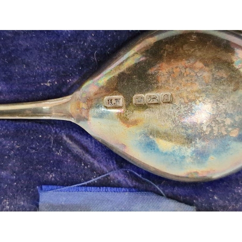 205 - Pair of early 20th century silver spoons in fitted case, Sheffield, makers Lee & Wigfull (2)